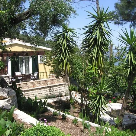 Nikatsas No 5 *