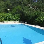 Nikatsas No 5