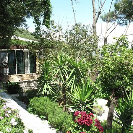 Vakantiehuis Nikatsas No 5 *