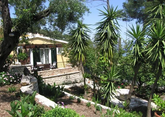 Nikatsas No 5 *